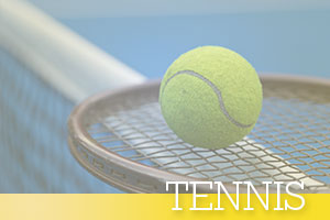 Tennis-ball-on-net
