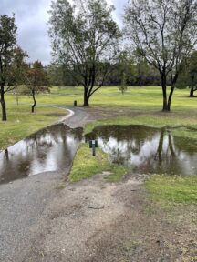 Rainwater pools on the back nine at LCFCC